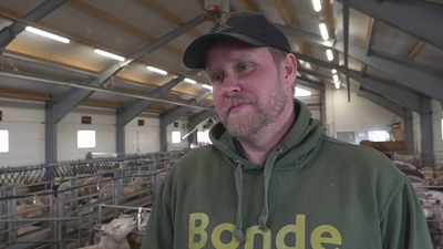 Jordbruksoppgjøret starter: Beredskap og selvforsyning viktig for bøndene