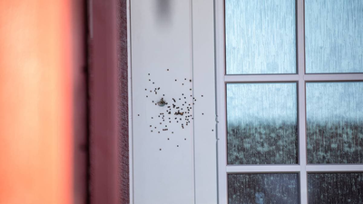 Skytingen i Lillestrøm: Åtte personer siktet