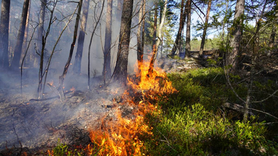 Sørlandsbanen stengt igjen