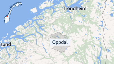 Person angrepet av flere okser