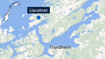 Frontkollisjon på Ørlandet